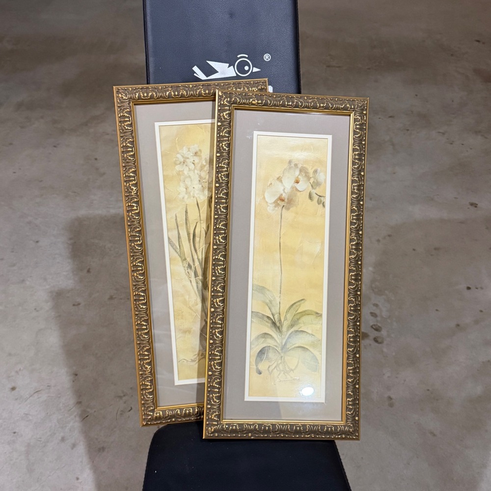 Sonoma Framed Wall Art Unisex 8x20 Gold Orchid Botanical Prints Set of 2